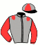 casaque portée par Trullier T. jockey du cheval de course SCILIAR, information pmu ZETURF