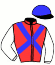 casaque portée par Valle Skar Mlle F. jockey du cheval de course ALVAR, information pmu ZETURF