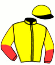casaque portée par Baudet N. jockey du cheval de course WHERE CHOP, information pmu ZETURF