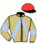 casaque portée par Grumetz Max. jockey du cheval de course JALIENORTH GAME, information pmu ZETURF