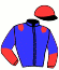 casaque portée par Hemery R. jockey du cheval de course ICARINO DU CHOQUEL, information pmu ZETURF