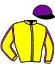 casaque portée par Blavette J. jockey du cheval de course L'ASTRE D'ORION, information pmu ZETURF
