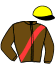casaque portée par Dromigny T. jockey du cheval de course JULIUS D'ALCI, information pmu ZETURF