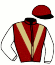 casaque portée par Geffray Dil. jockey du cheval de course IRIS DE GRUGY, information pmu ZETURF