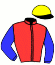 casaque portée par Meunier Gab. jockey du cheval de course MOTU FAREONE, information pmu ZETURF