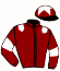 casaque portée par Gavilan Ale. jockey du cheval de course OVER WINS, information pmu ZETURF