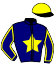 casaque portée par Barthelemy Mme A. jockey du cheval de course FLYNN STAR, information pmu ZETURF