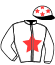 casaque portée par Jublot I. jockey du cheval de course ELOKAI, information pmu ZETURF