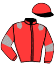 casaque portée par Taisne M. jockey du cheval de course EVA DE LOISNE (FR), information pmu ZETURF