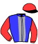 casaque portée par Dromigny T. jockey du cheval de course LEGENDE DE NILREM, information pmu ZETURF
