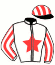 casaque portée par Laudren L. jockey du cheval de course GROUPE DE POTES, information pmu ZETURF