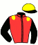 casaque portée par Cheminaud V. jockey du cheval de course HANABAAL TUN (FR), information pmu ZETURF