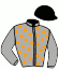 casaque portée par Juteau R. jockey du cheval de course EAGLESUN, information pmu ZETURF