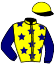 casaque portée par Guyon M. jockey du cheval de course NIGHT OASIS, information pmu ZETURF