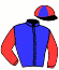 casaque portée par Mendizabal I. jockey du cheval de course KITTEN'S PAW, information pmu ZETURF