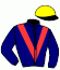 casaque portée par Pouchin A. jockey du cheval de course PORTUCALE, information pmu ZETURF
