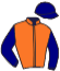 casaque portée par Guyon M. jockey du cheval de course VIANETA, information pmu ZETURF