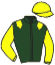 casaque portée par Demuro C. jockey du cheval de course ALVA, information pmu ZETURF