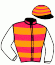 casaque portée par Valle Skar Mlle F. jockey du cheval de course EGIATEGIA, information pmu ZETURF