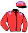 casaque portée par Pouchin A. jockey du cheval de course RAQEEBB, information pmu ZETURF