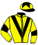casaque portée par Claudic J. jockey du cheval de course ALBANIA, information pmu ZETURF
