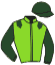 casaque portée par Lecoeuvre C. jockey du cheval de course EURYTHMICAL, information pmu ZETURF