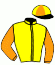 casaque portée par Valle Skar Mlle F. jockey du cheval de course LEOPARDUCCIO, information pmu ZETURF