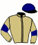 casaque portée par Doyle Mme Hol. jockey du cheval de course OUTBOX, information pmu ZETURF