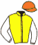 casaque portée par Hardouin E. jockey du cheval de course TRUE TEDESCO, information pmu ZETURF