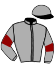 casaque portée par Duporte Mme A. jockey du cheval de course FASTER, information pmu ZETURF