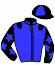 casaque portée par Callier Mlle M. jockey du cheval de course FOLIE DE BOURGOGNE (FR), information pmu ZETURF