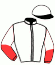casaque portée par Gauvin J. P. jockey du cheval de course FABIAN B.R. (NO), information pmu ZETURF