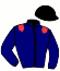 casaque portée par Labrousse P. jockey du cheval de course GALATEE D'ALFORT (FR), information pmu ZETURF