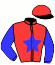 casaque portée par Laurent G. jockey du cheval de course JANDICE STAR, information pmu ZETURF