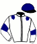 casaque portée par Bigeon Ch. J. jockey du cheval de course IRON BOY DE BUSSET, information pmu ZETURF
