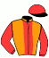 casaque portée par Fribault M. jockey du cheval de course HOLD UP IDEF, information pmu ZETURF