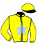 casaque portée par Fribault M. jockey du cheval de course FLOPY RUSH, information pmu ZETURF