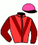casaque portée par Non Partant jockey du cheval de course GOLDEN WAY, information pmu ZETURF