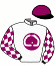 casaque portée par Roussel Ale. jockey du cheval de course IL MINISTRO, information pmu ZETURF