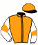 casaque portée par Boisseau L. jockey du cheval de course KAICLATHOLUKEV, information pmu ZETURF