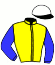 casaque portée par Lebouc Hug. jockey du cheval de course AQUITAINE, information pmu ZETURF