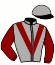 casaque portée par Mangione R. jockey du cheval de course DANCING QUEEN, information pmu ZETURF