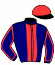 casaque portée par Demissy M. jockey du cheval de course ISBA BESNOT, information pmu ZETURF