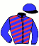 casaque portée par Ohanessian Mlle J. jockey du cheval de course HOLY GRACE, information pmu ZETURF