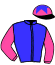 casaque portée par Millet G. jockey du cheval de course LOGIS, information pmu ZETURF
