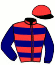 casaque portée par Bachelot T. jockey du cheval de course BARATIN, information pmu ZETURF