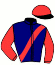 casaque portée par Lefevre D. jockey du cheval de course GRINGO DES CHAMPS, information pmu ZETURF