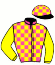 casaque portée par Besnier H. jockey du cheval de course FLUTE EN SOL, information pmu ZETURF