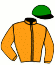 casaque portée par Molins Mme Amb. jockey du cheval de course KAMINO, information pmu ZETURF
