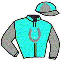 casaque portée par Molins Mme Amb. jockey du cheval de course VIZINDI, information pmu ZETURF